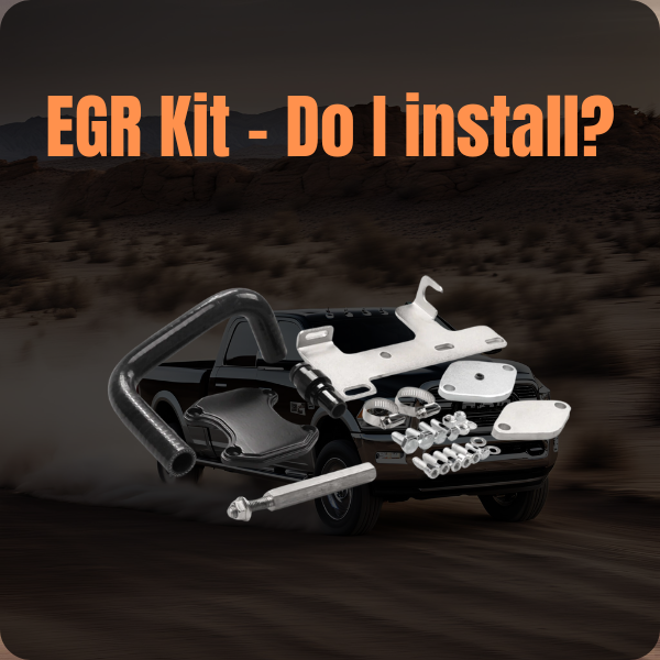 EGR DELETE KIT - INSTALL OR NOT?